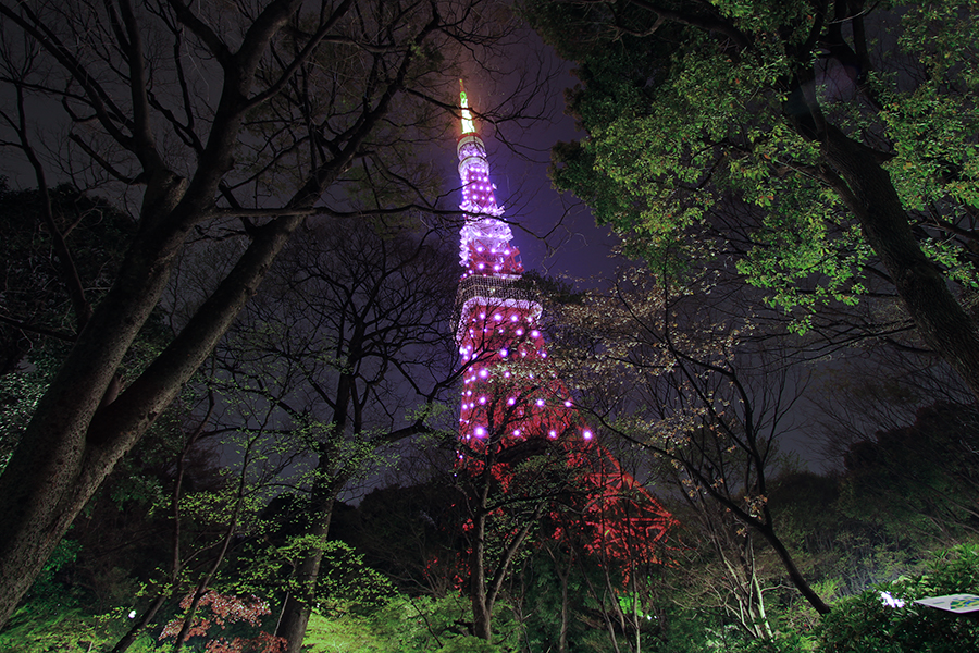 2010年4月18日都内夜景撮影会 2010年4月18日都内夜景撮影会